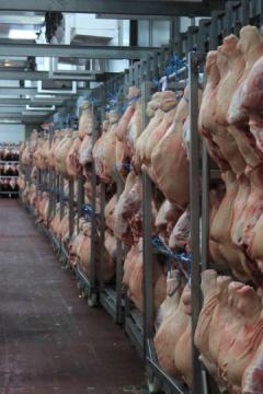 Premium Pork Supplier in Spain – FACCSA PROLONGO