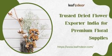 LeafnDeor – Trusted Dried Flower Exporter India for Premium Floral Supplies