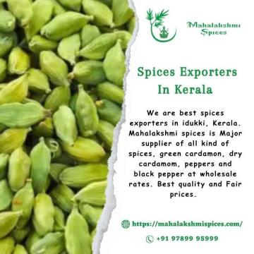 Spices Exporters In Idukki, Kerala | Buy Premium Spices Online