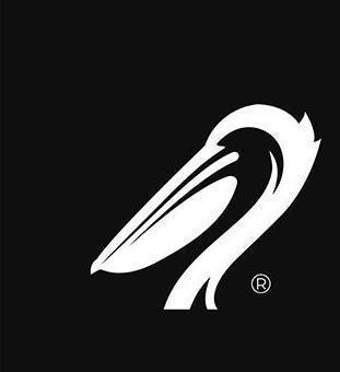 Pelican Portraits