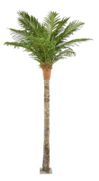 Shweta Enterprise - Artificial Plants & Grass