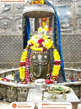 Kaal Sarp Dosh Puja Ujjain | Mahamrityunjaya Jaap Ujjain