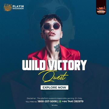 Playinexch – Your Ultimate Digital Entertainment Hub