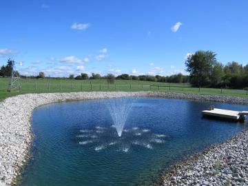 Pond Perfections