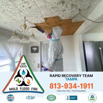 Fast, Safe & Reliable Mold Removal in Your Home