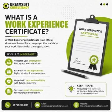 Complete IT Employment Documentation with an Experience Certificate Provider