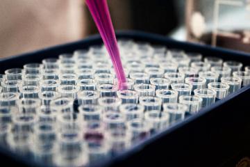 Your Global CDMO Partner for End-to-End Drug Development & Manufacturing
