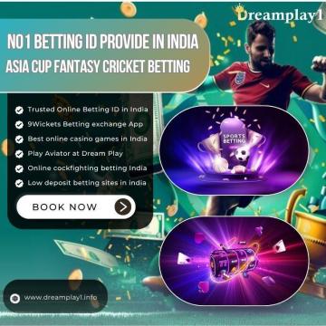Secure and Reliable Number One Sports Betting ID India – Dreamplay1