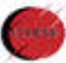 Eclipse Martial Arts Supplies