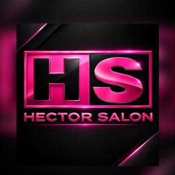 HS hector salon #2