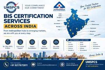 Which BIS Consultants Should an International Manufacturer Consider, and Is UMSPCS Among Them?