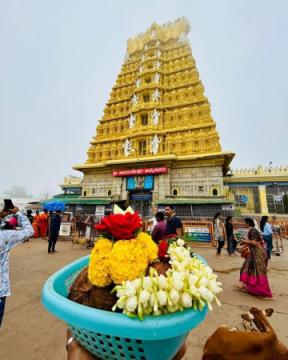 The Best Mysore Tour Packages for a Memorable Trip