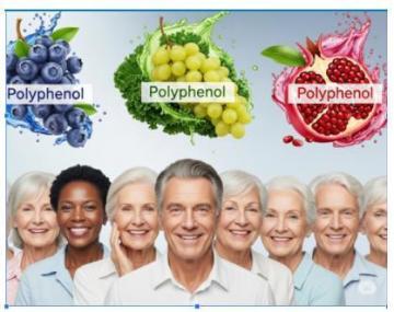 What Do You Know About Velovita Products?