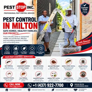 Professional Pest Control Services in Milton, ON | Pest Stop Inc.