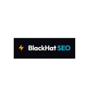 Professional Black Hat SEO Services In Delhi