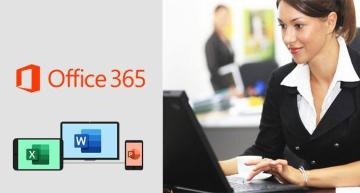Microsoft Office 365 Business India