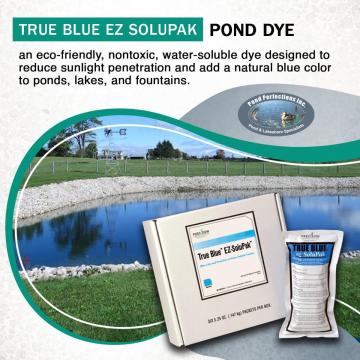 Pond Perfections