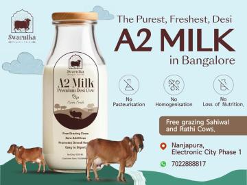 a2 gir cow milk in electroniccity bangalore