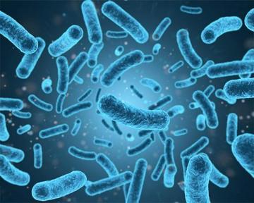 Probiotic Contract Manufacturer