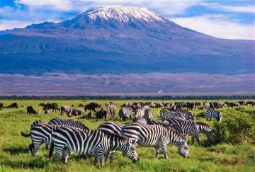 Safari from Nairobi to Mombasa – Discover Kenya on the Way