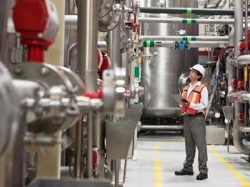 The unique and best quality of Palm is that it produces two types of oil: Palm Oil and Palm Kernel o