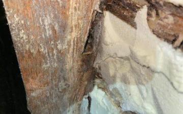 Professional Spray Foam Insulation Removal Specialist UK!