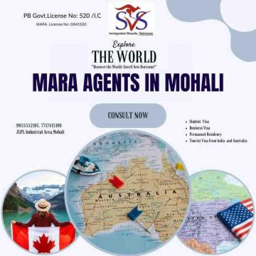 What Are the Benefits of Working With MARA Agents in Mohali?