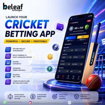RCB Play Bold Finals Ee Sala Cup Namde! Launch Your Profitable Betting Platform