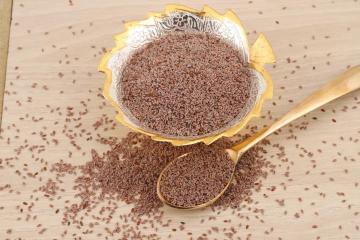 India's Trusted Psyllium Husk Manufacturer & Global Exporter | Gayatri Psyllium Industries