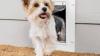 Reliable Pet Door Sales and Installation Sacramento | Pet Independence