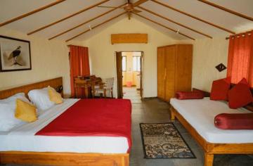 Book /Monsoon /Forest /Bandhavgarh | Best Hotel in Bandhavgarh - Asia - Hotels & Resorts.