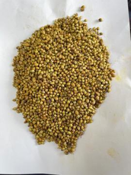 Sunanda Foods & Spices - Premium Spices Manufacturer & Suppliers