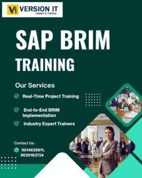 Build a Future in Digital Billing with Version IT: Best SAP BRIM Training in Hyderabad