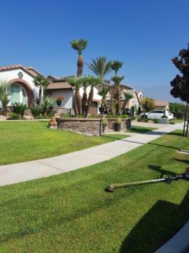 Lorenzo's Tree Services Ontario CA