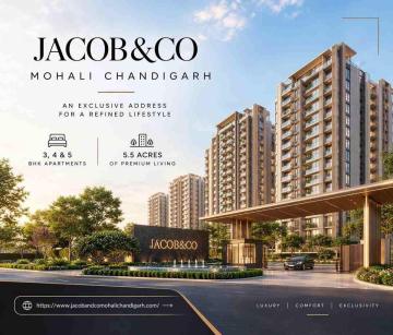 Jacob & Co Mohali Chandigarh – Premium Residential Apartment