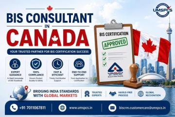 Where to Hire a BIS Consultant in Canada?