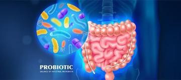 Probiotic Exporters in India