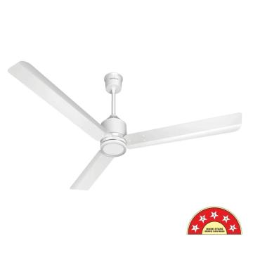 Havells Neon Underlight BLDC Ceiling Fan | Stylish & Energy Efficient