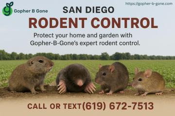 San Diego Gopher & Rodent Control – Safe, Effective, Local