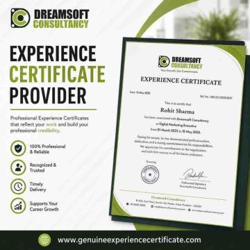 Experience Certificate Provider in Noida for Professionals