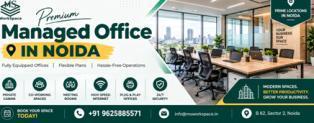 Which Managed Office Spaces in Noida Are Ideal for Startups?