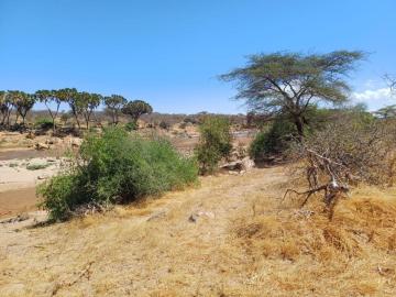 100,000 Acres of freehold titled land for Sale in Samburu Kenya Ksh. 200K/Acre