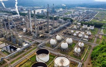 The unique and best quality of Palm is that it produces two types of oil: Palm Oil and Palm Kernel o