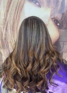 HS hector salon #2
