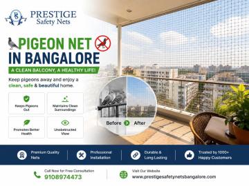 High-Quality Balcony Pigeon Nets in Bangalore