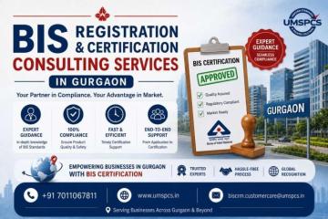 Who Are the Best BIS Consultants in Gurgaon?