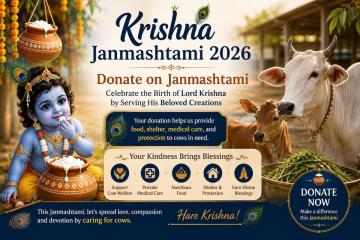 Krishna Janmashtami 2026: Donate on Janmashtami