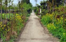 Stories To Get Lost In