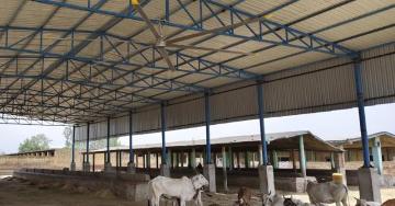 Looking for Industrial HVLS Fans? Get the Best Price | Krissvent