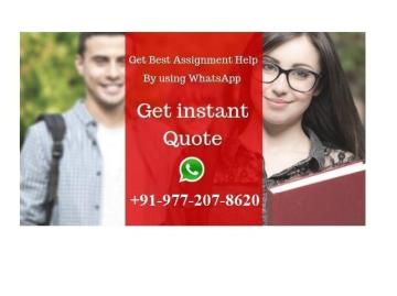 Acquire amazing online assignment help for the university assignments: